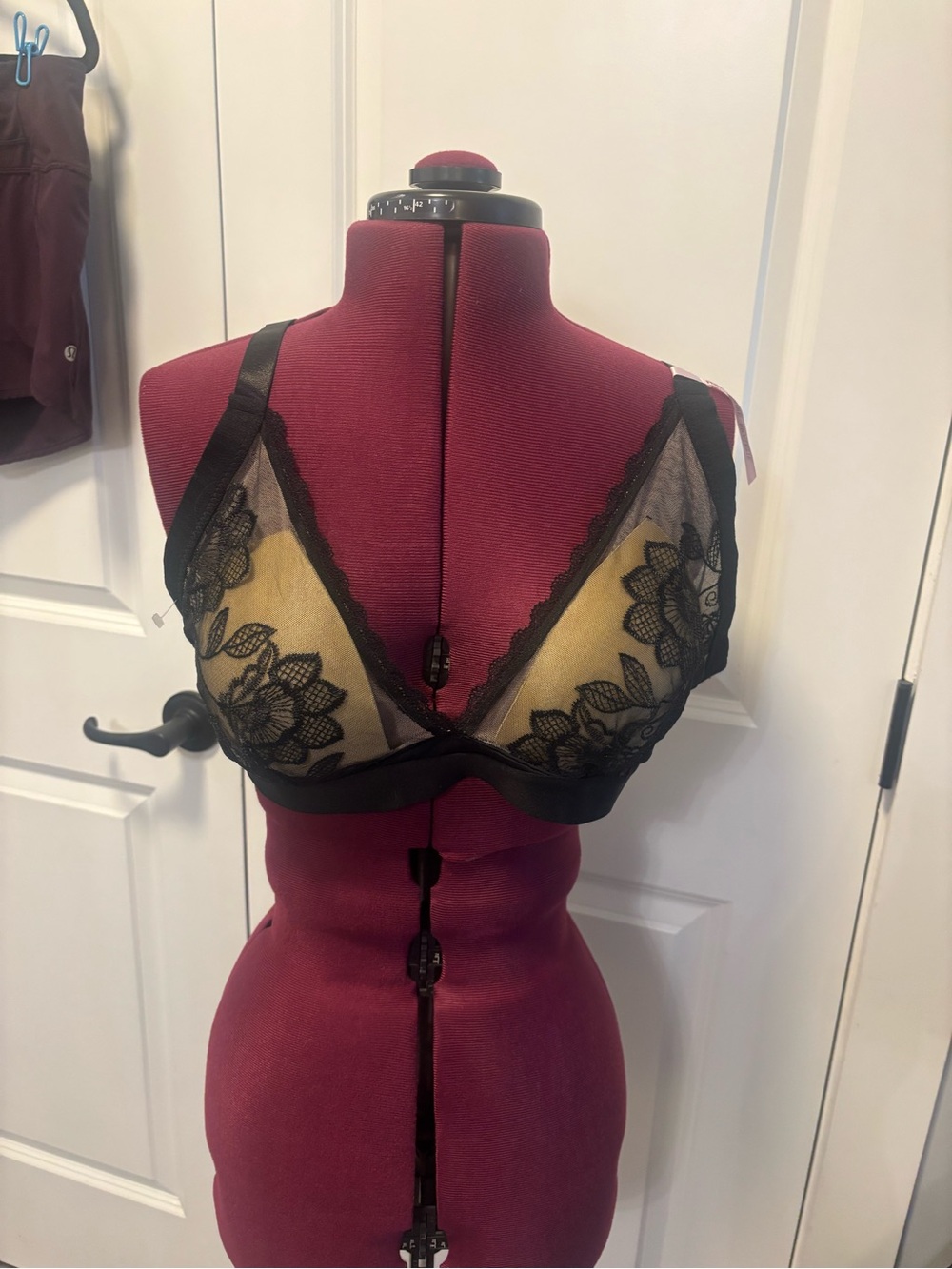 Daisy Fuentes Black Lace Sheer Bralette with Gold Accent
